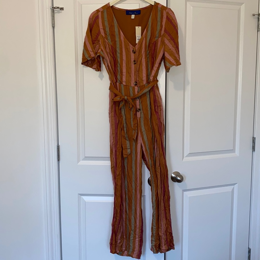 Francesca’s Striped Jumpsuit